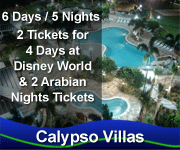 Disney World & Dinner Show Package